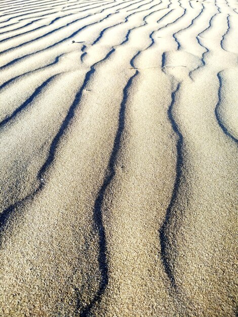 Hooghoekbeeld van schaduw op zand