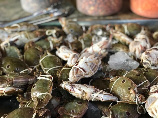 Foto hooghoekbeeld van schelpen voor verkoop op de markt