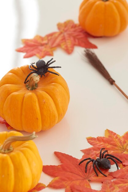 Hooghoekbeeld van spinnen speelgoed met pompoenen en herfstbladeren op witte achtergrond