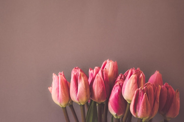 Hooghoekbeeld van tulpen op tafel