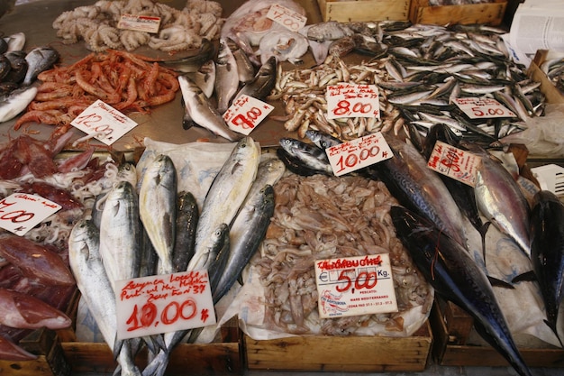 Foto hooghoekbeeld van verschillende vissen op de markt