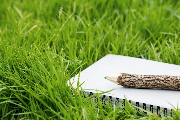 Foto hooghoekbeeld van verse groene planten op het veld