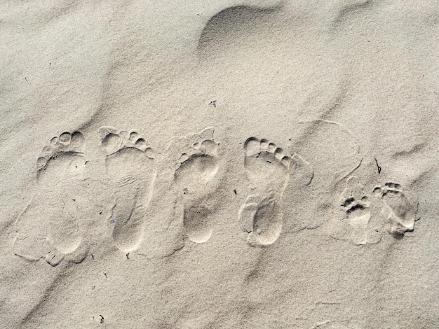 Foto hooghoekbeeld van voetafdrukken op het zand op het strand