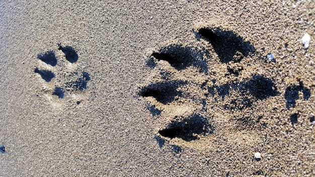 Foto hooghoekbeeld van voetafdrukken op zand