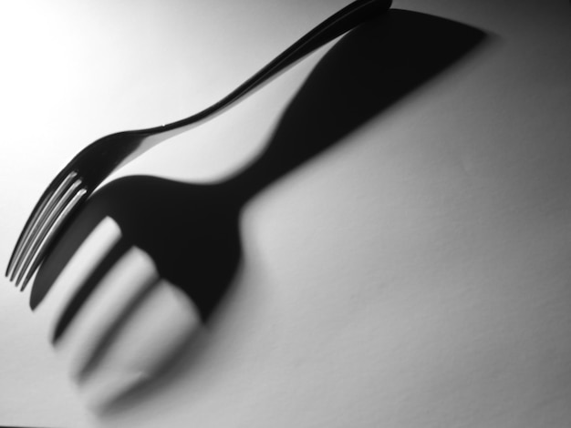Hooghoekbeeld van vork met schaduw op tafel