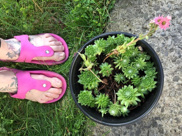 Foto hooghoekbeeld van vrouw door potplanten