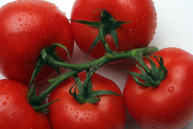 Foto hooghoekbeeld van waterdruppels over verse tomaten op een witte achtergrond