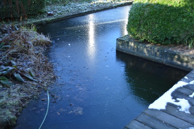 Foto hooghoekige weergave van planten vanaf het water