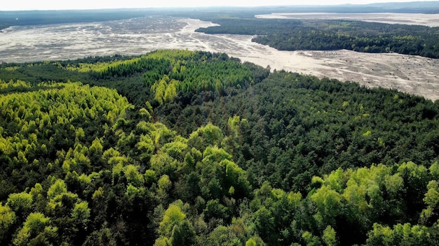 Hooghoekse weergave van bomen op het landschap