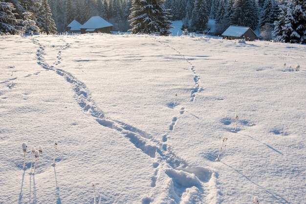 Hooghoekse weergave van de voetafdruk op besneeuwd land