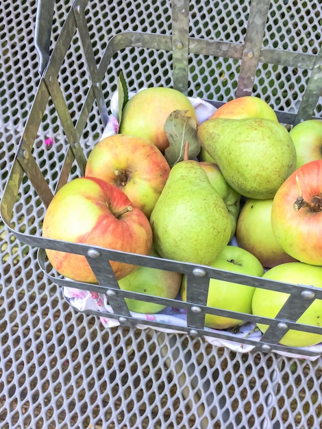 Foto hooghoekse weergave van fruit in een mand