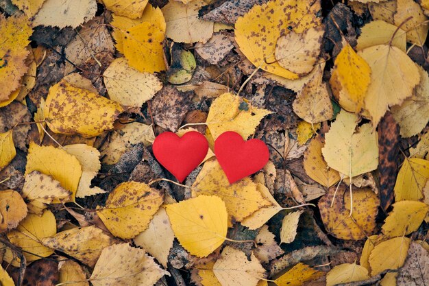 Foto hooghoekse weergave van hartvormige herfstbladeren