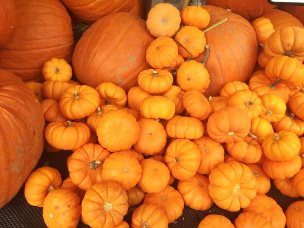 Hooghoekse weergave van pompoenen te koop op een marktkraam