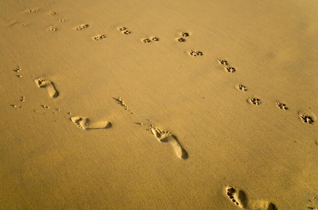 Foto hooghoekse weergave van voetafdrukken op het zand op het strand