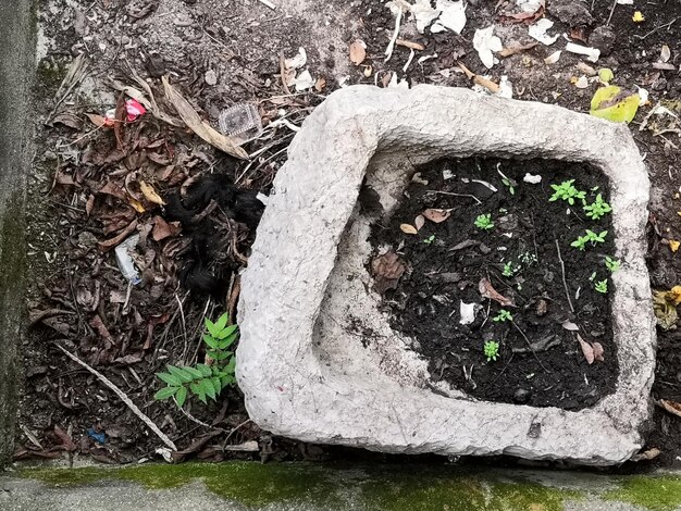 Foto hooghoekweergave van de boomstam op het veld