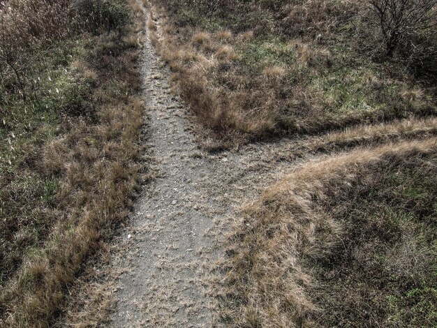 Hooghoekweergave van het pad op het land