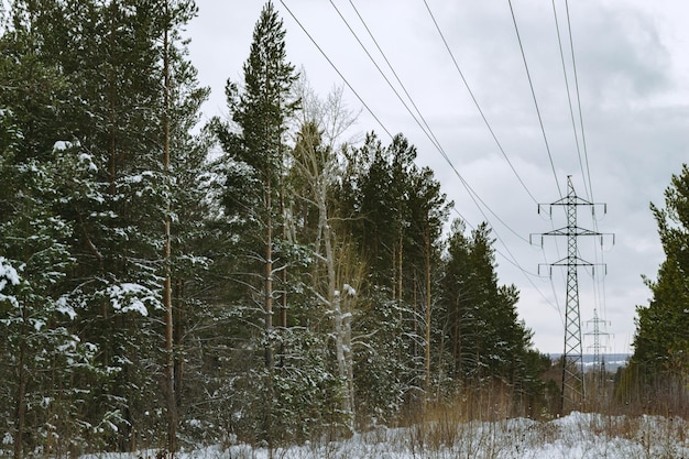 Hoogspanningsleidingen midden in het winterbos