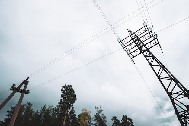 Hoogspanningsleidingen onder bomen onder bewolkte hemel. de distributietoren van de elektriciteit in bos met copyspace. minimalistische weergave van onderen op palen met draden bij bewolkt weer.