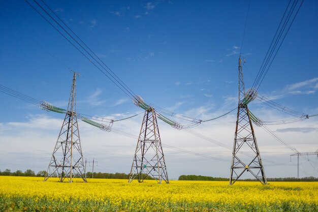 Hoogspanningslijnen en hoogspanningslijnen tegen de achtergrond van bloeiende koolzaad op een zomerse dag. Groene energie. Transport van elektriciteit door middel van steunen door landbouwgebieden.