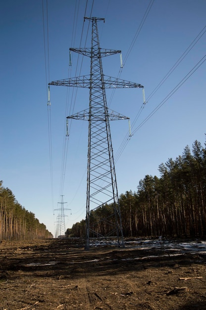 Hoogspanningstransmissietorens tegen de blauwe lucht in het bos