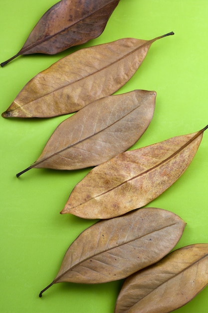 Foto hoogste menings de herfst droge bladeren op een groene achtergrond