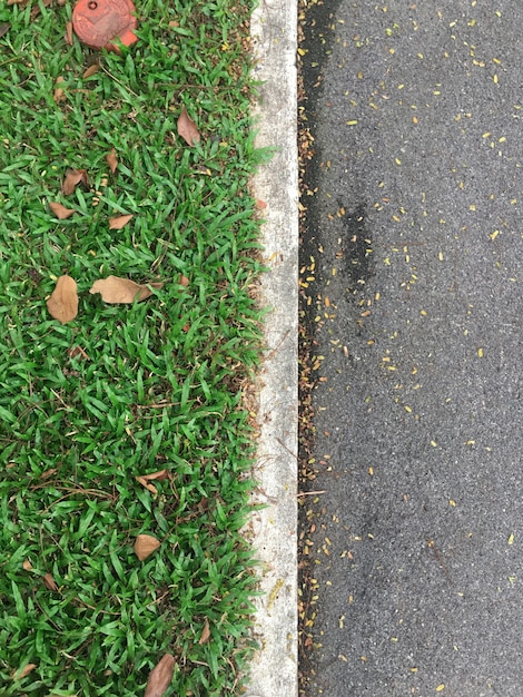 Hoogste menings groene die gras en Asfaltweg door witte concrete lijnen wordt gescheiden