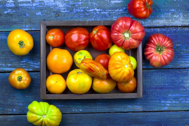 Hoogste menings verse tomaten op een houten dienblad