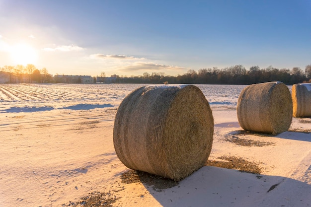 Foto hooi ballen van sneeuw bedekt veld tegen de lucht