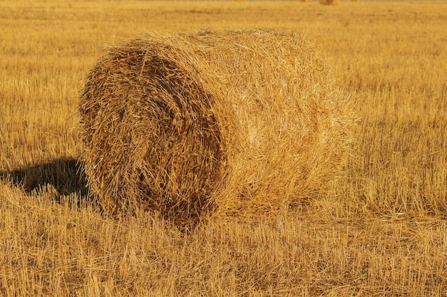 Hooibaal Hooiberg op landelijke natuur op landbouwgrond stro in de wei