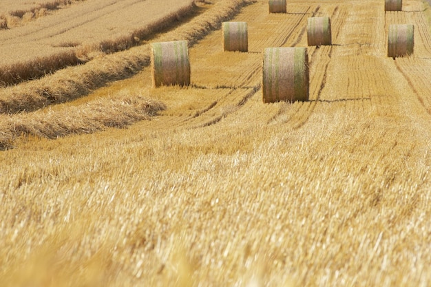 hooibakken op het landbouwveld