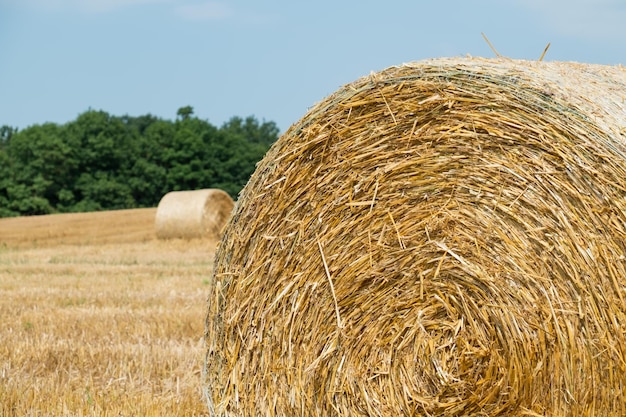 Hooibal op landbouwveld tegen een heldere lucht