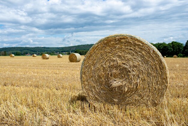 Hooibalen in een boerderijveld Het herfstseizoen