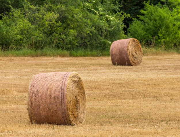 Hooibalen in een veld op een zomerdag