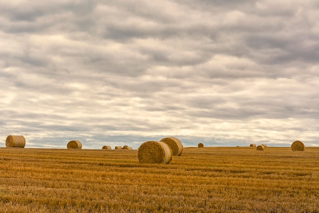 Hooibalen op een landbouwveld tegen een bewolkte lucht