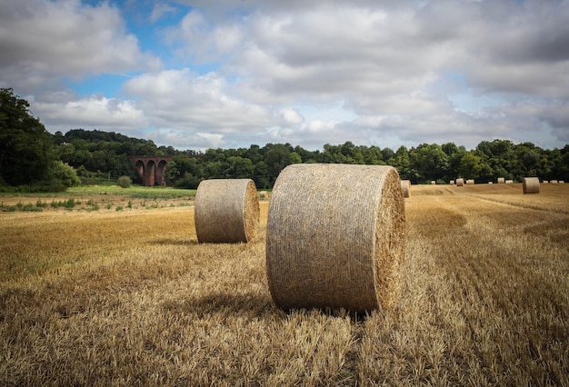 Hooibalen op het veld tegen bewolkte lucht
