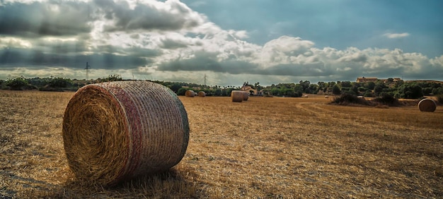 Hooibalen op het veld tegen bewolkte lucht