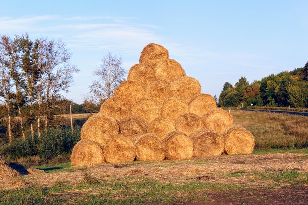 Hooibalen op het veld tegen de lucht