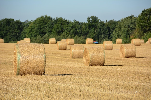 Hooibalen op landbouwgrond