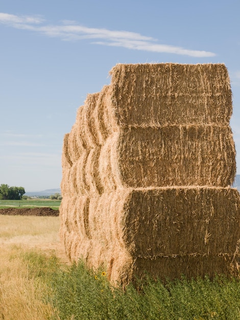 Hooiberg op de boerderij.