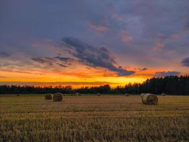 Hooibergen in een veld bij zonsondergang