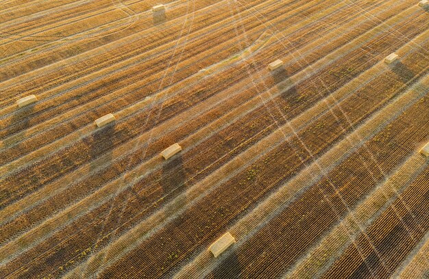 Hooibergen op een geoogst veld - bovenaanzicht