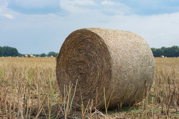 Hooibergen worden in de zomer van het veld verzameld tegen de achtergrond van de lucht met wolken.