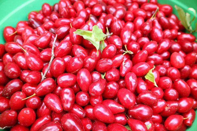 Hoop levendige rode verse Goji-bessen te koop op de markt