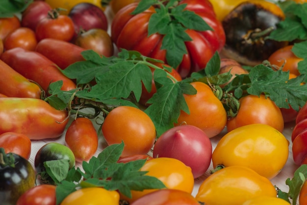 Hoop van verschillende groenten op de markt Tomaten op een houten ondergrond