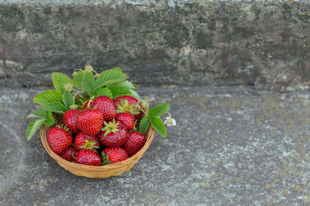 Hoop verse aardbeien in een mandkom op betonnen ondergrond