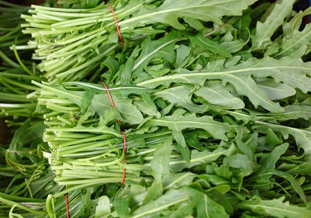 Hoop verse groene lente-rucola