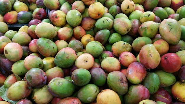 Hoop verse rijpe mango's in een lokale markt.