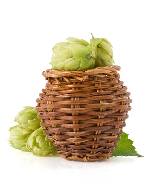 Hop in basket isolated on white