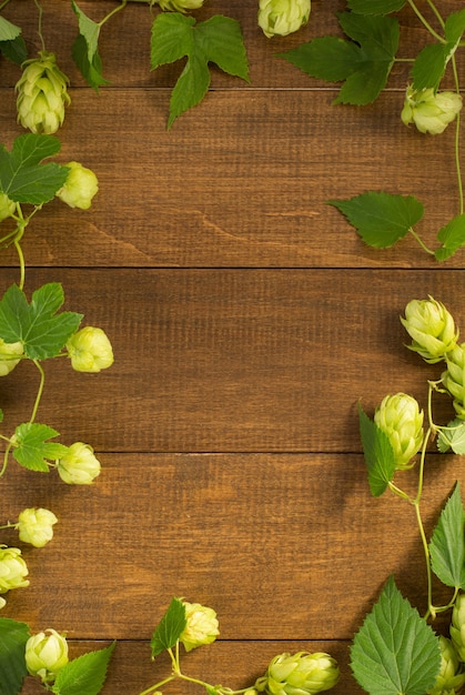 Hop cones on wooden