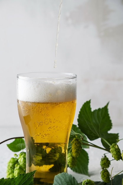 Hopcider in een glas op een grijze achtergrond